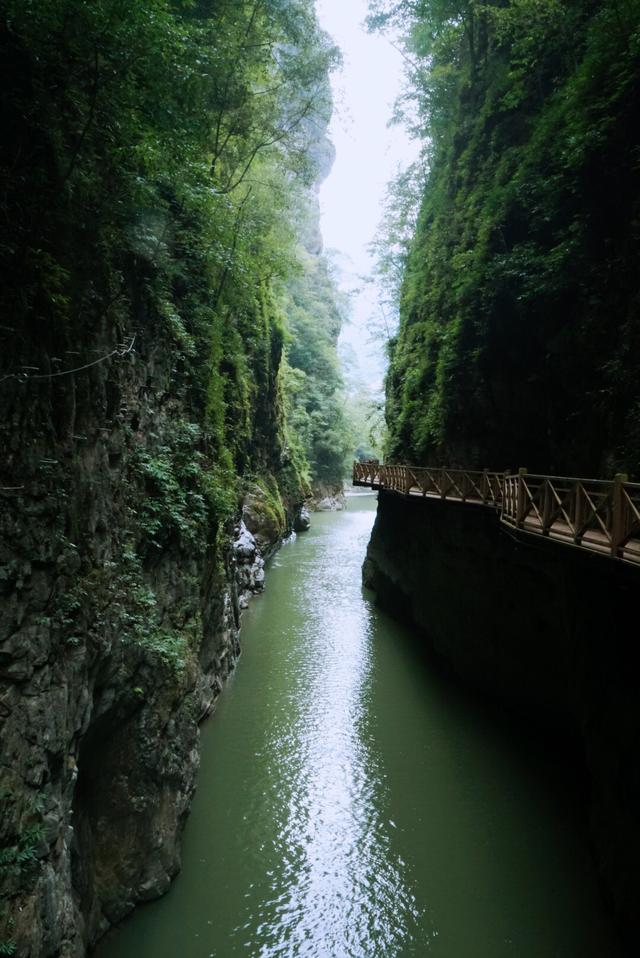 驯养繁殖 第215页