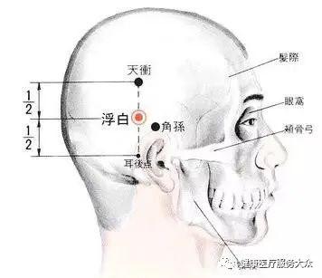 最新胆囊研究成果揭示，关注胆囊健康至关重要