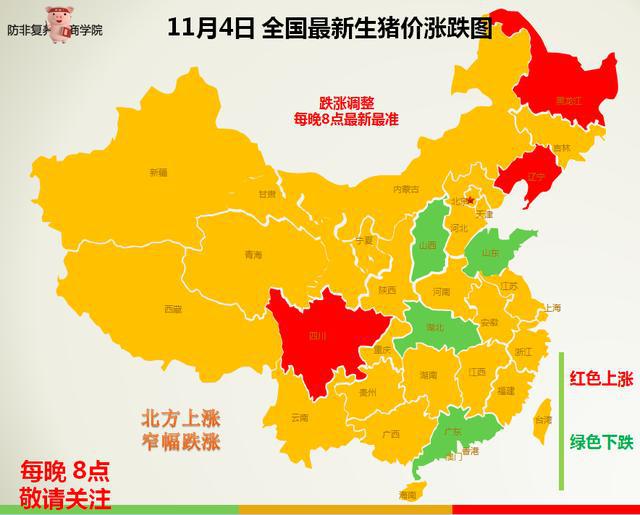 全国最新动态，多元发展时代脉搏的跃动前行