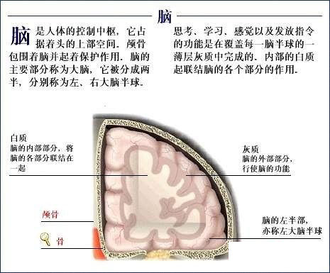 新门内部资料精准大全最新章节免费_绝对经典解剖落实_尊贵版80.94.249.100