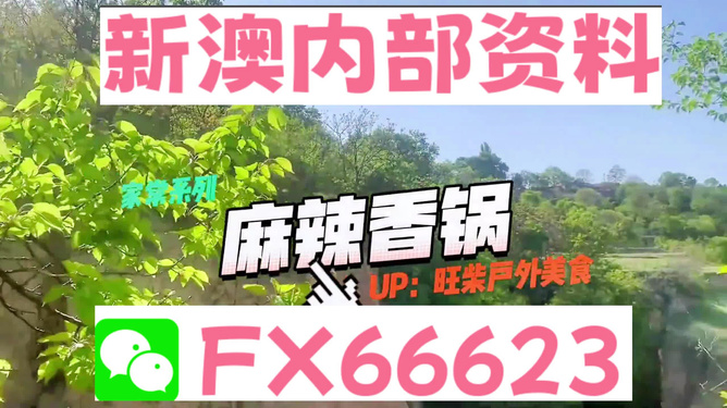 新澳2024年精准资料220期_全面解答可信落实_战略版215.217.127.40