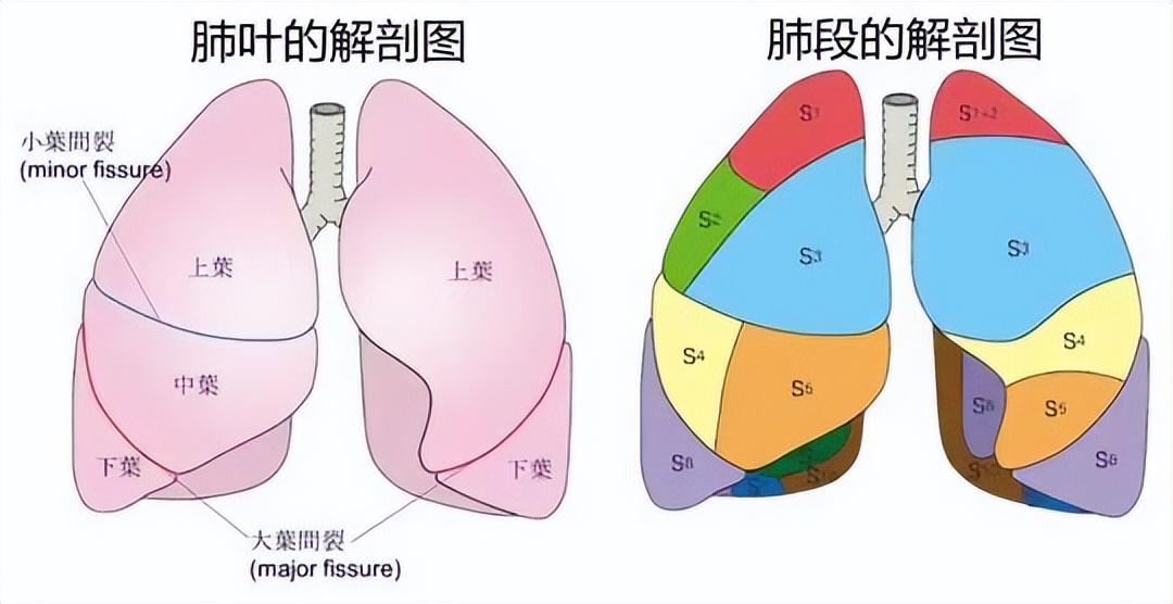 7777788888跑狗论坛版_解剖落实_决策资料_VS209.170.56.8