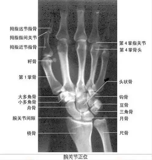 7777788888王中王中特_解剖落实_准确资料_VS216.225.6.14