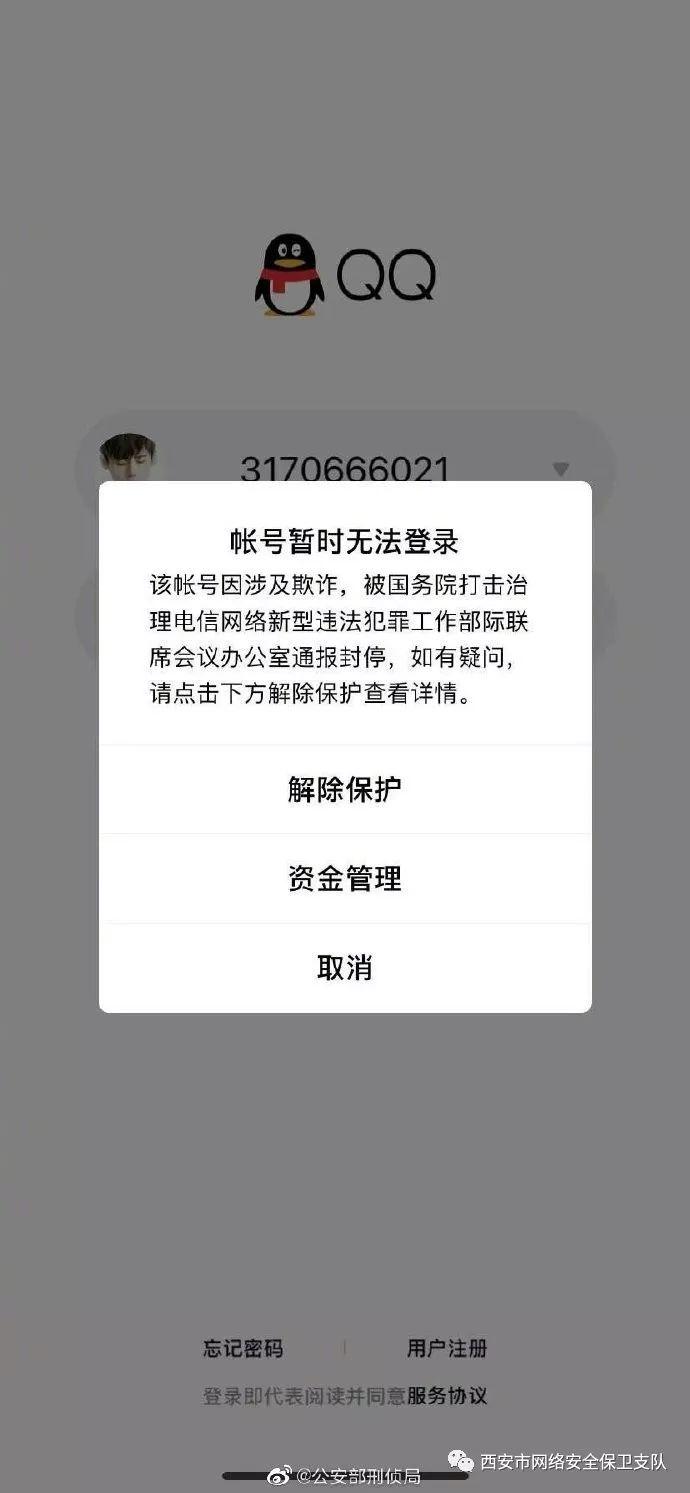 普洱茶产业新动态与发展趋势通告揭秘