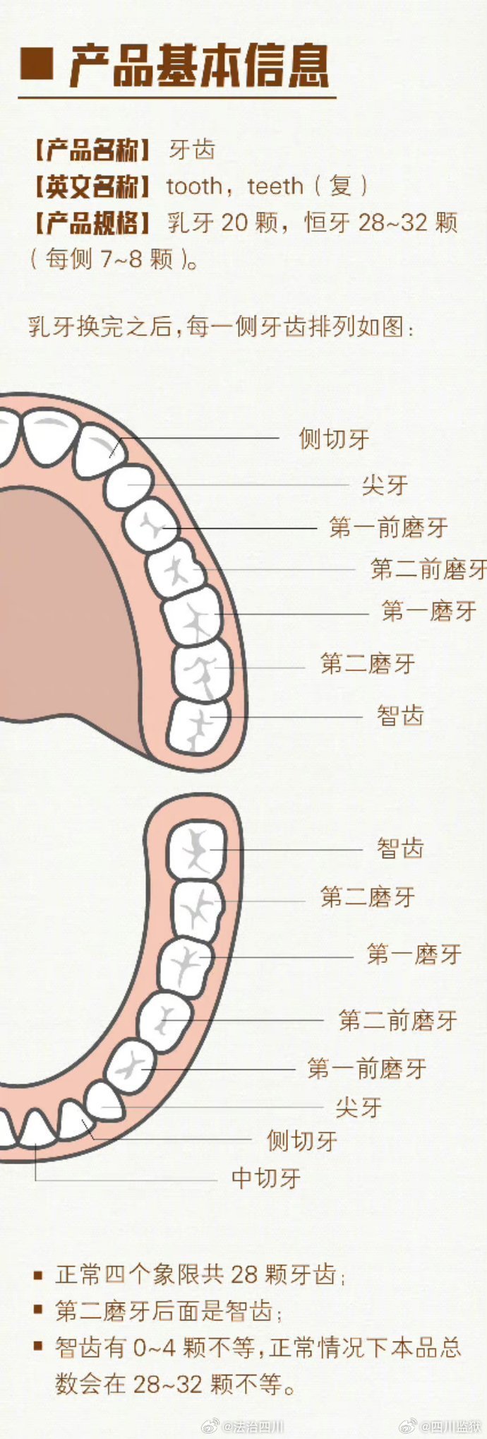 口腔科技革新探索，未来牙齿的革新之路