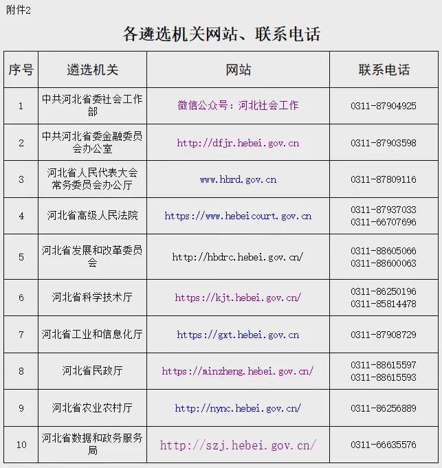 最新遴选公告深度解读与探讨