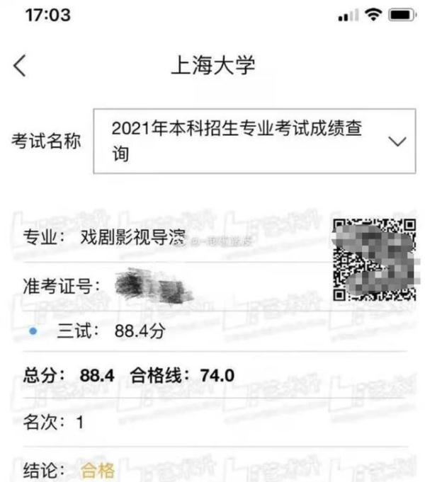 现代社会的多维深度解读，热议的社会现象与深层内涵探索