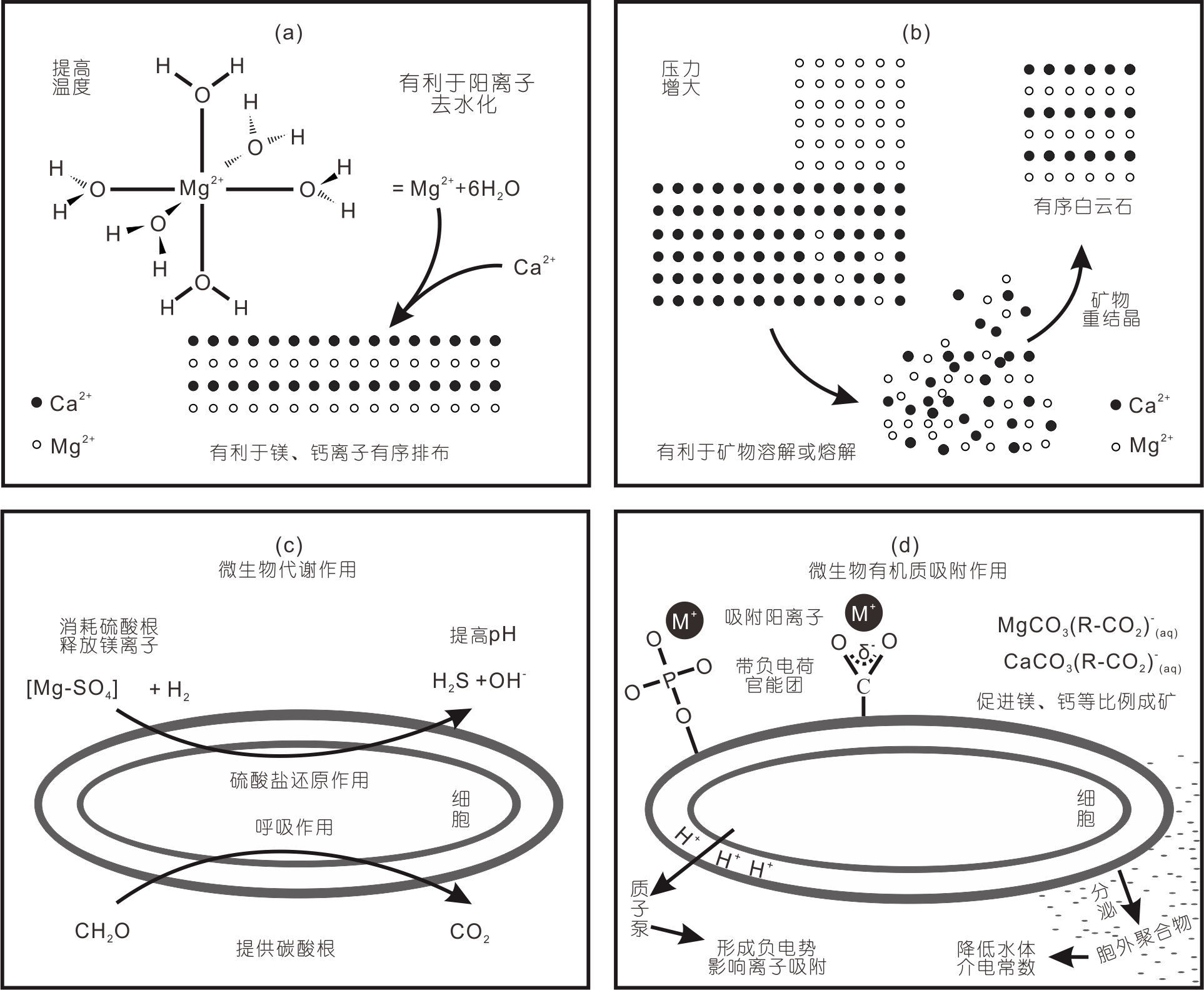 幻影战士 第2页