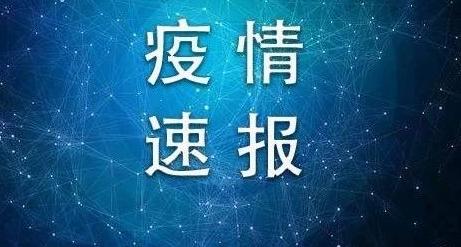 数字化时代的全国最新输入与变革发展概览