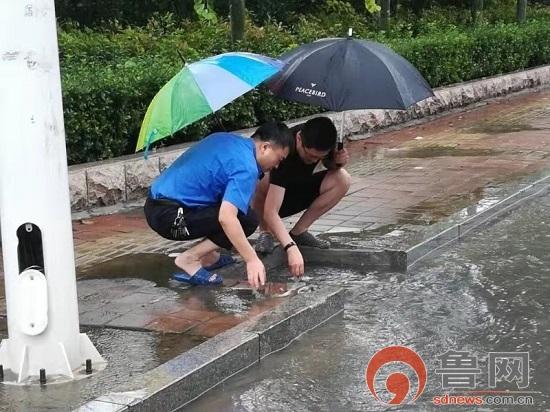 临沂暴雨来袭，影响及应对措施