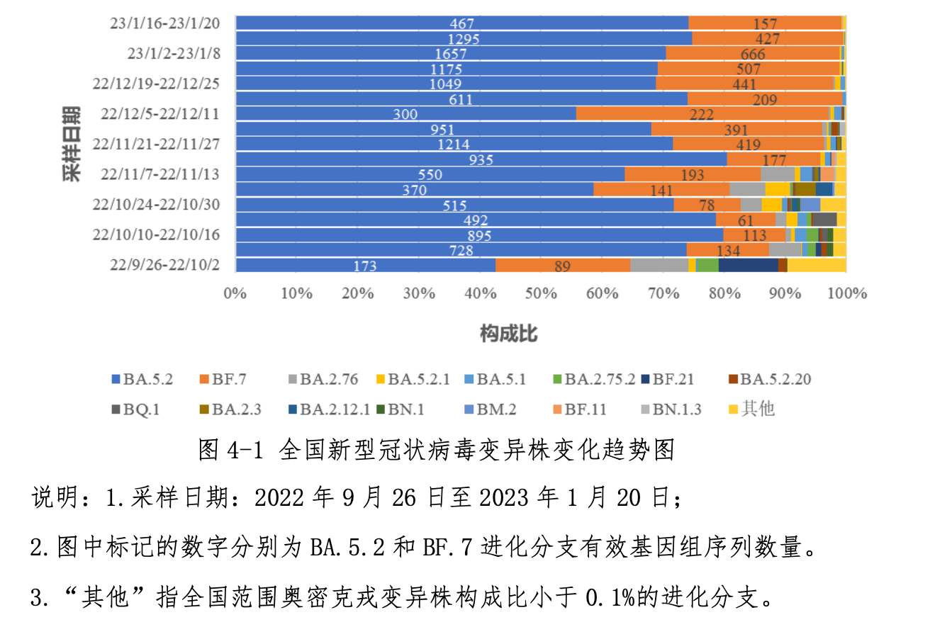 全球疫情周报，最新动态与中国防控进展综述