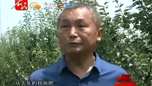 农博士最新行动视频，科技赋能农业，助推乡村振兴