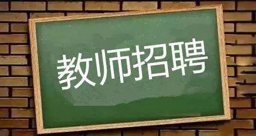 山东临清最新招聘动态与职业机会展望