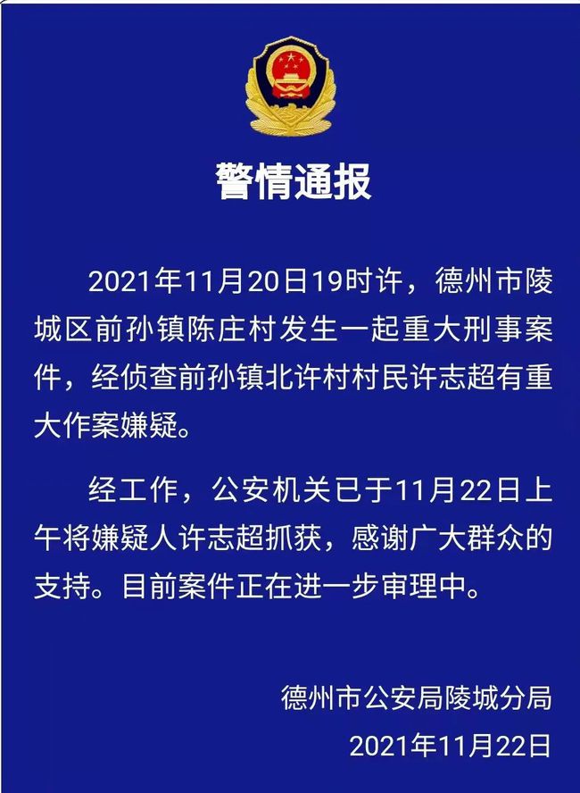 德州刑事案件深度剖析报告