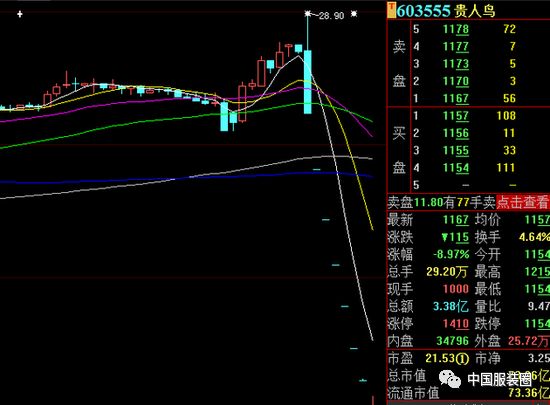 贵人鸟内部最新消息全面解析