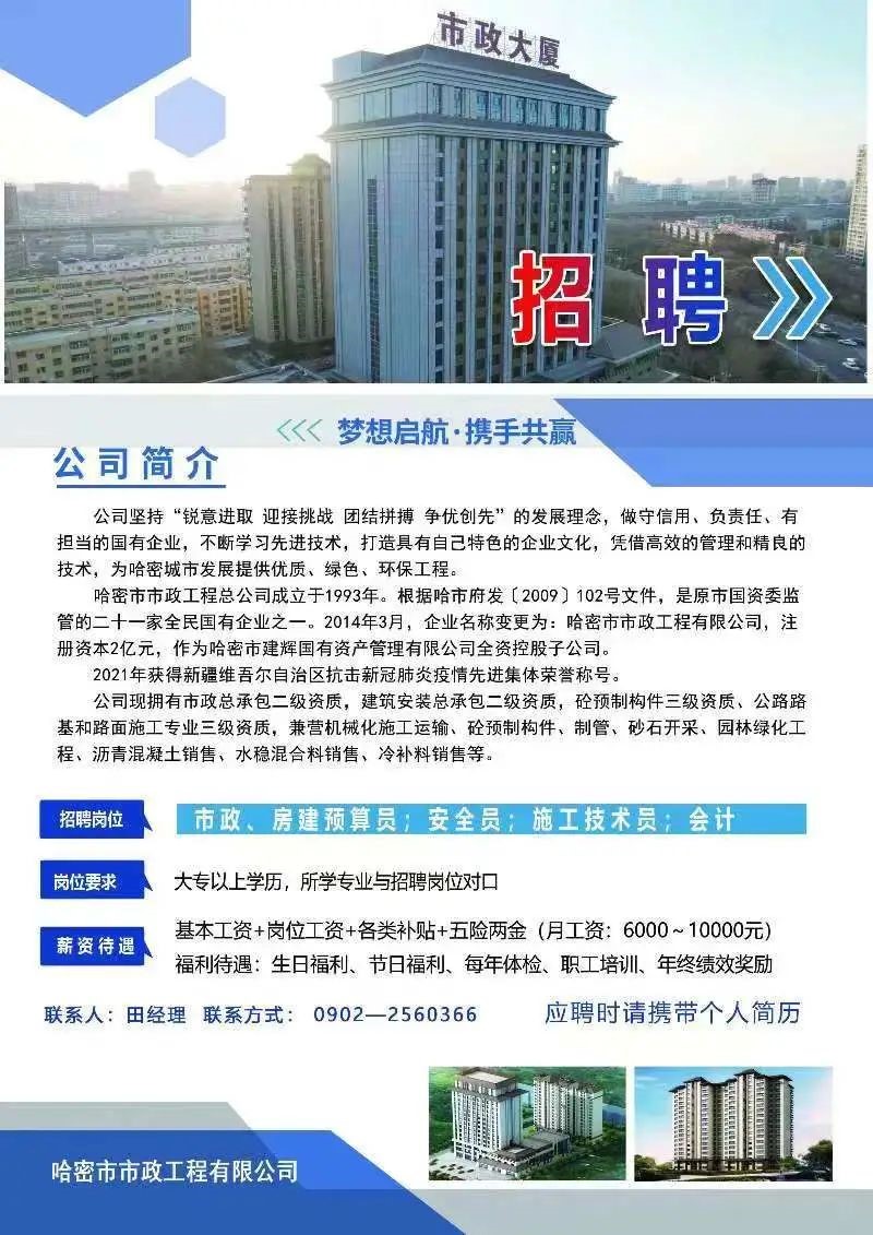 哈市人才市场最新招聘动态深度剖析