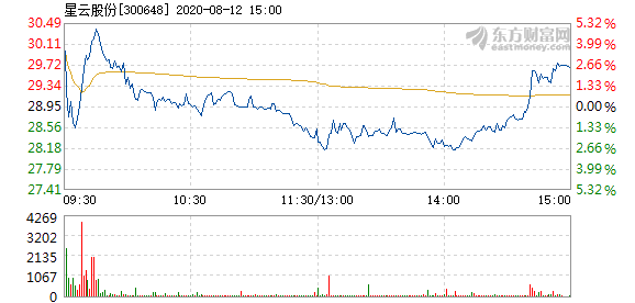 星云股份股票最新动态，市场走势与前景展望