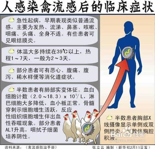 吉林禽流感最新动态，全面应对，确保人民群众健康安全